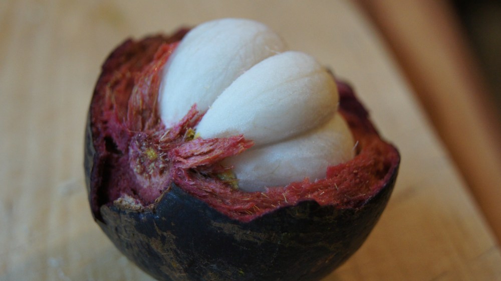 Mangosteen