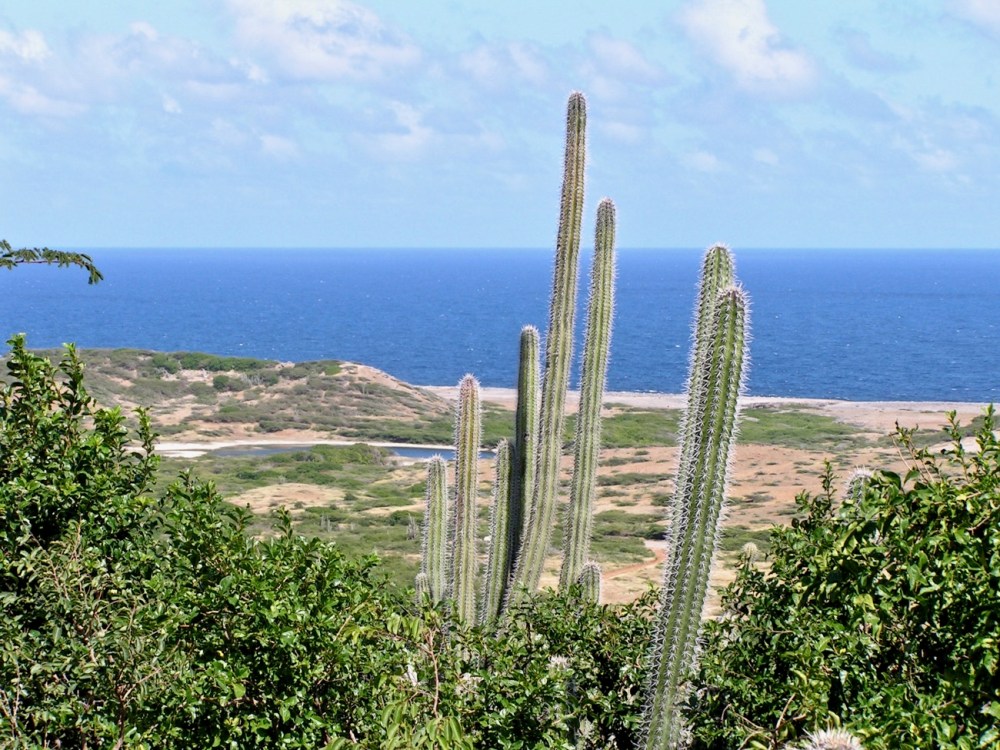 Curacao Christoffelpark